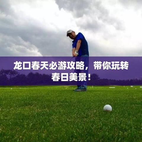 龙口春天必游攻略，带你玩转春日美景！