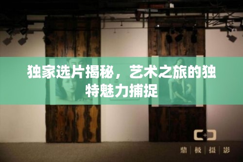 独家选片揭秘，艺术之旅的独特魅力捕捉