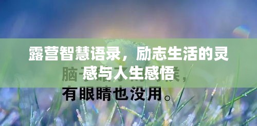 露营智慧语录，励志生活的灵感与人生感悟
