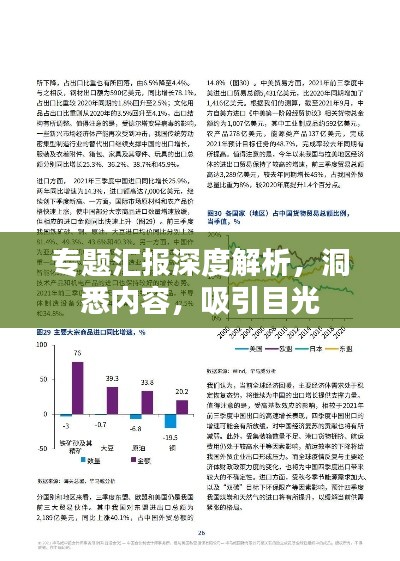 专题汇报深度解析，洞悉内容，吸引目光