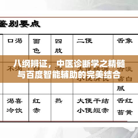 八纲辨证，中医诊断学之精髓与百度智能辅助的完美结合