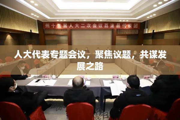 人大代表专题会议，聚焦议题，共谋发展之路