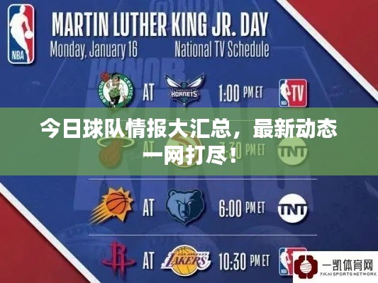 今日球队情报大汇总，最新动态一网打尽！