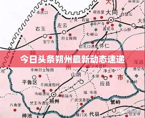 今日头条朔州最新动态速递