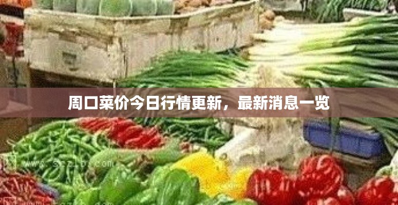 2025年6月16日