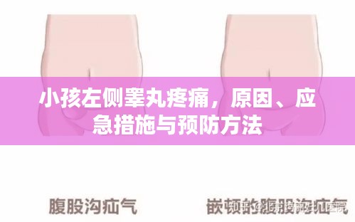 小孩左侧睾丸疼痛，原因、应急措施与预防方法
