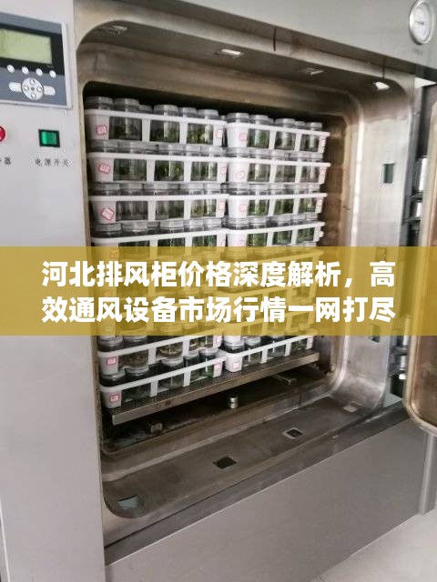 河北排风柜价格深度解析，高效通风设备市场行情一网打尽
