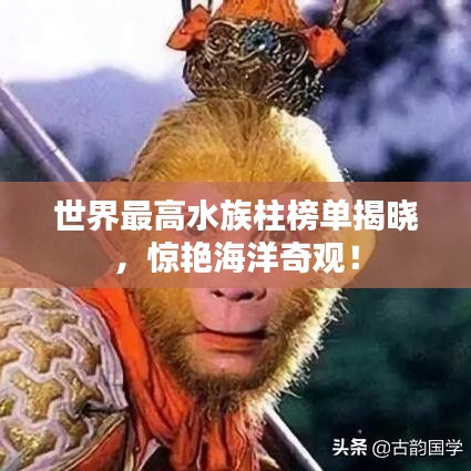 世界最高水族柱榜单揭晓，惊艳海洋奇观！
