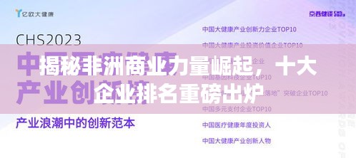 揭秘非洲商业力量崛起，十大企业排名重磅出炉