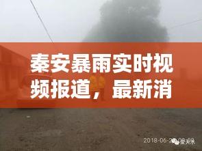 关于订购 第4页