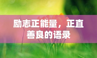 励志正能量，正直善良的语录