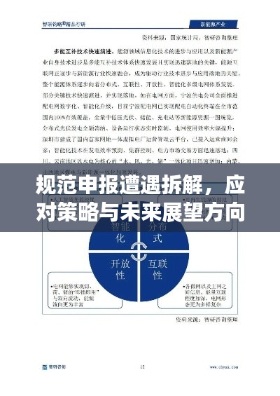 规范申报遭遇拆解，应对策略与未来展望方向