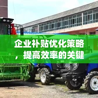 企业补贴优化策略，提高效率的关键所在