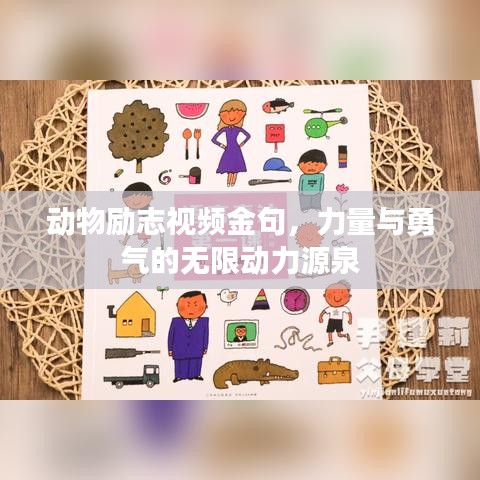 动物励志视频金句，力量与勇气的无限动力源泉