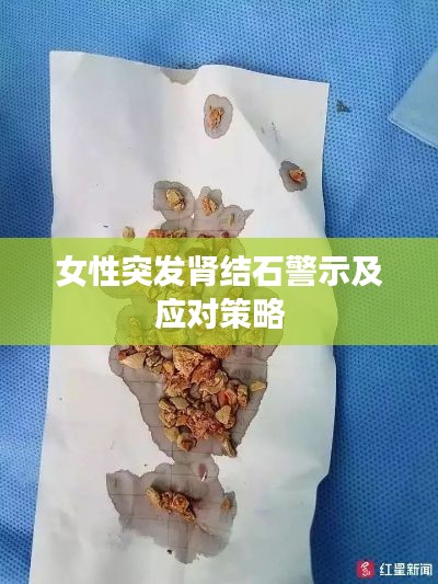 不求甚解