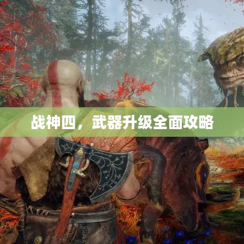 懵懵懂懂
