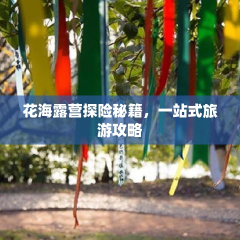 花海露营探险秘籍，一站式旅游攻略
