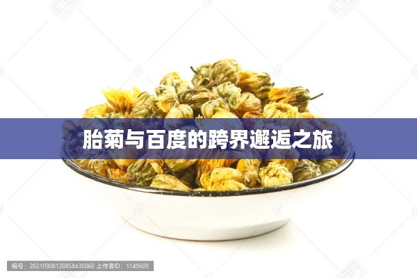 胎菊与百度的跨界邂逅之旅