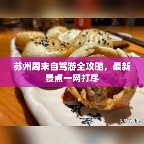 苏州周末自驾游全攻略，最新景点一网打尽
