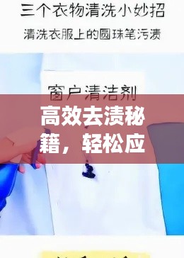 高效去渍秘籍，轻松应对各种污渍挑战！