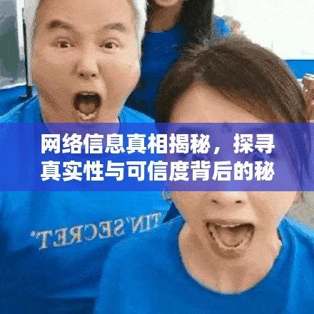 网络信息真相揭秘，探寻真实性与可信度背后的秘密！