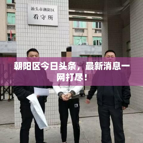 朝阳区今日头条，最新消息一网打尽！