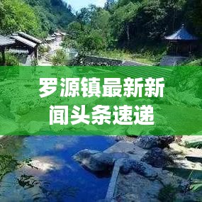 罗源镇最新新闻头条速递
