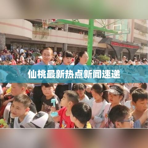 仙桃最新热点新闻速递