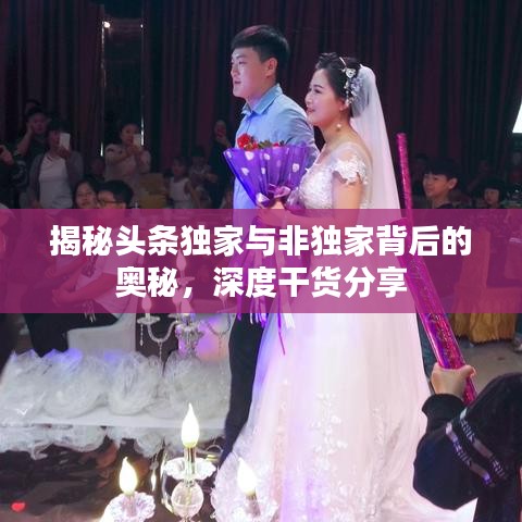 揭秘头条独家与非独家背后的奥秘，深度干货分享