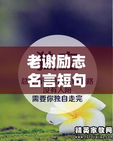 老谢励志名言短句，激发无限潜能！