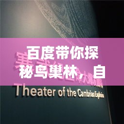 百度带你探秘鸟巢林，自然奥秘之旅开启！
