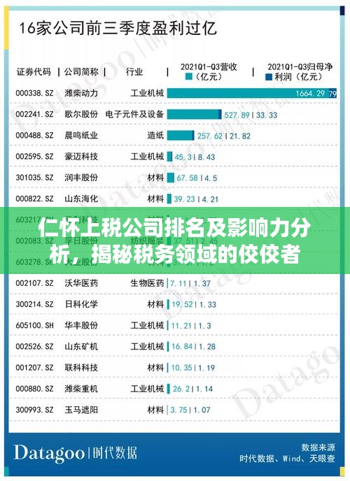 仁怀上税公司排名及影响力分析，揭秘税务领域的佼佼者