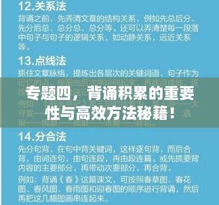 专题四，背诵积累的重要性与高效方法秘籍！