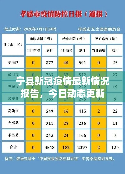 宁县新冠疫情最新情况报告，今日动态更新