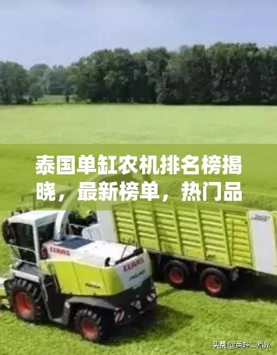 泰国单缸农机排名榜揭晓，最新榜单，热门品牌一网打尽！