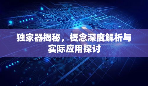 独家器揭秘，概念深度解析与实际应用探讨