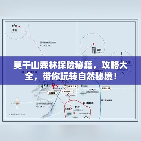 莫干山森林探险秘籍，攻略大全，带你玩转自然秘境！