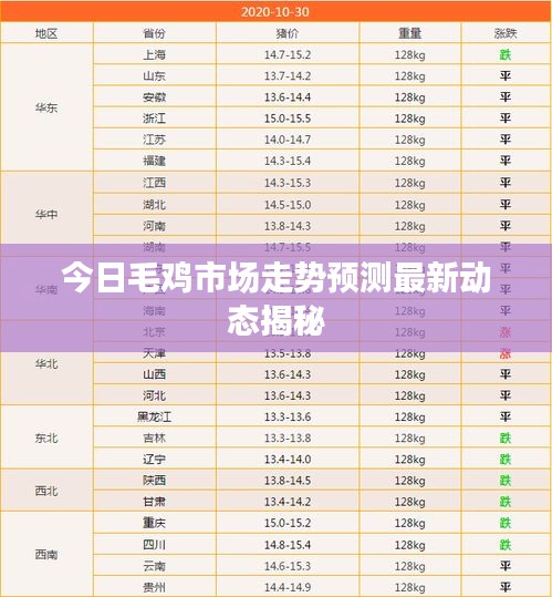 今日毛鸡市场走势预测最新动态揭秘