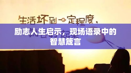 励志人生启示，现场语录中的智慧箴言