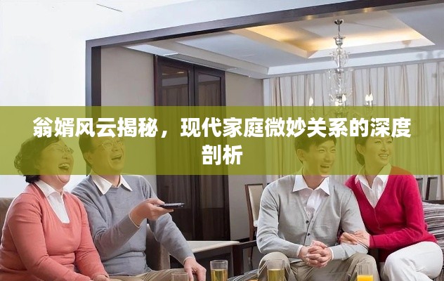 翁婿风云揭秘，现代家庭微妙关系的深度剖析