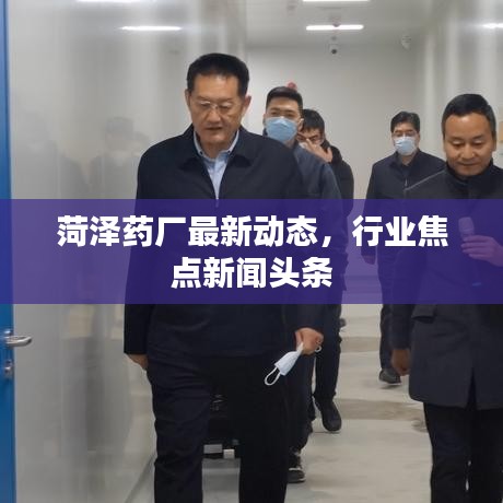 菏泽药厂最新动态，行业焦点新闻头条