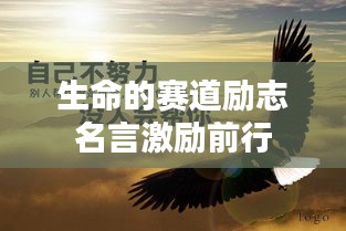 生命的赛道励志名言激励前行
