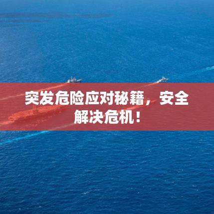 突发危险应对秘籍，安全解决危机！