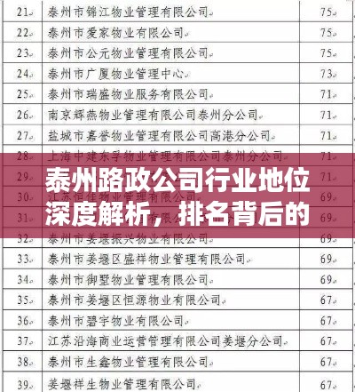 泰州路政公司行业地位深度解析，排名背后的实力与策略分析