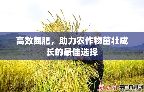 高效氮肥，助力农作物茁壮成长的最佳选择