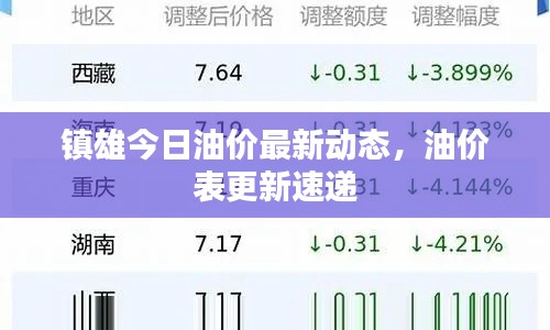 镇雄今日油价最新动态，油价表更新速递