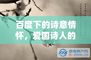 百度下的诗意情怀，爱国诗人的情感世界
