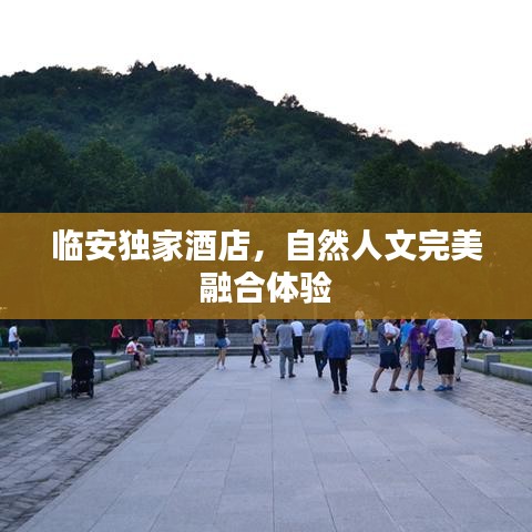 临安独家酒店，自然人文完美融合体验