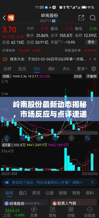 岭南股份最新动态揭秘，市场反应与点评速递